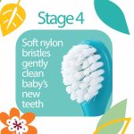 Dr. Talbot's, 4-Stage System Oral Care Set - Image 5