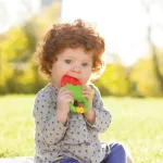 Infantino Vibrating Teether +3M - Image 2