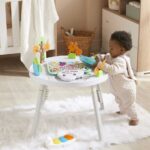 Baby's View 3-Stage Activity Center - الصورة 8