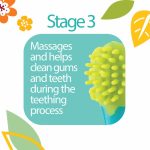 Dr. Talbot's, 4-Stage System Oral Care Set - Image 4