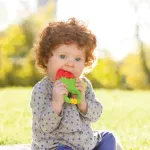 Infantino Vibrating Teether +3M - Image 2