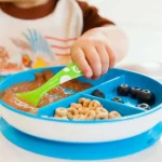 ⁦munchkin stay put suction plate⁩ - الصورة ⁦6⁩