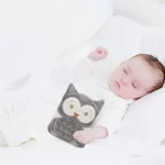 Babyjem - Cherry Seeds Filled Velvet Colic Pillow Owl - الصورة 2