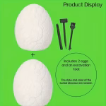 Rock & Mineral Simulation Excavation Kit- 2pcs eggs, 24 dinosaurs - Image 3