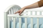 Prince Lion Heart Protects Tender Gums, Cot Rail Protector