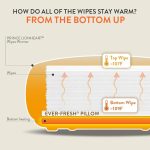 Prince Lion Heart Ever- Fresh Replacement Pillow - Image 6