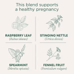 ⁦Traditional Medicinals, Organic Pregnancy, Tea, Raspberry Leaf (16 Wrapped Tea Bags)⁩ - الصورة ⁦2⁩